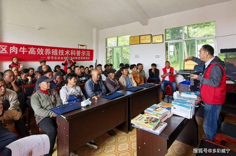 贵州威宁:技术送到"家门口" 肉牛养殖有奔头